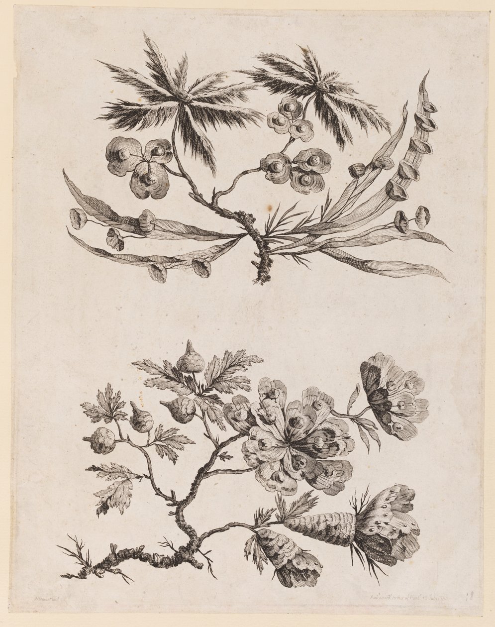 Flower Boughs from, "Recueil de Fleurs Chinois" by Jean Baptiste Pillement