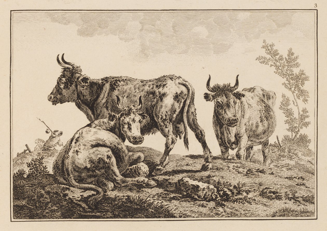 Plate 3, from "Cahier de Six Feuilles de Boeufs et Vaches" by Jean Baptiste Pillement