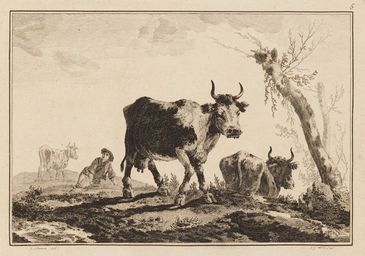 Plate 5, 