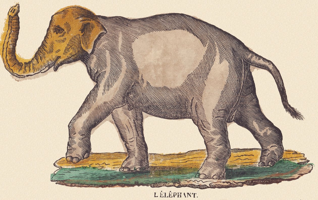 The Elephant, c.1840-1852 by Jean Baptiste Thiebault