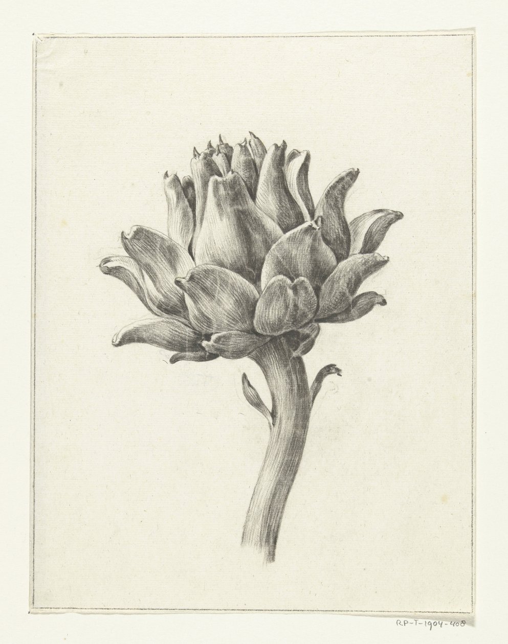 Artichoke by Jean Bernard