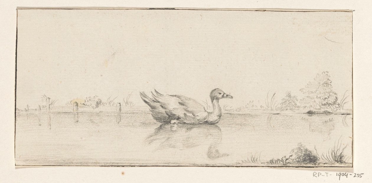 Duck in the Water by Jean Bernard