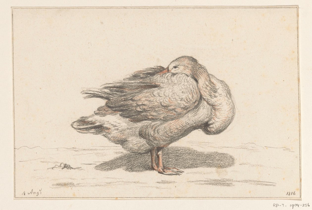 Goose by Jean Bernard