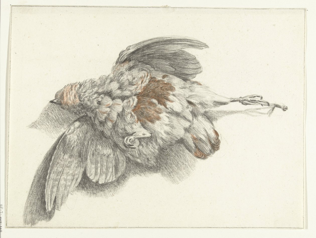 Poultry Hanging on the Wall by Jean Bernard