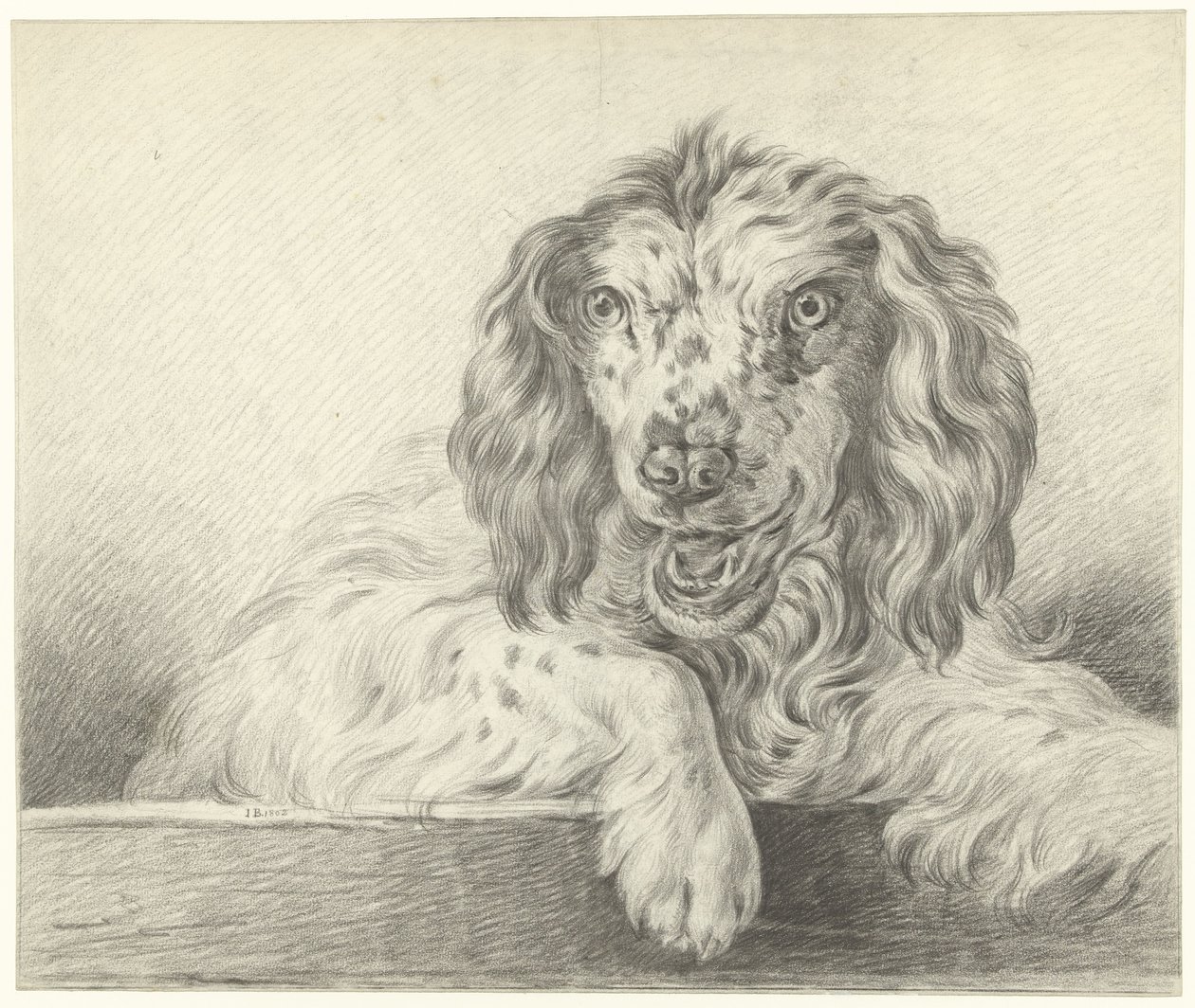 Dog by Jean Bernard