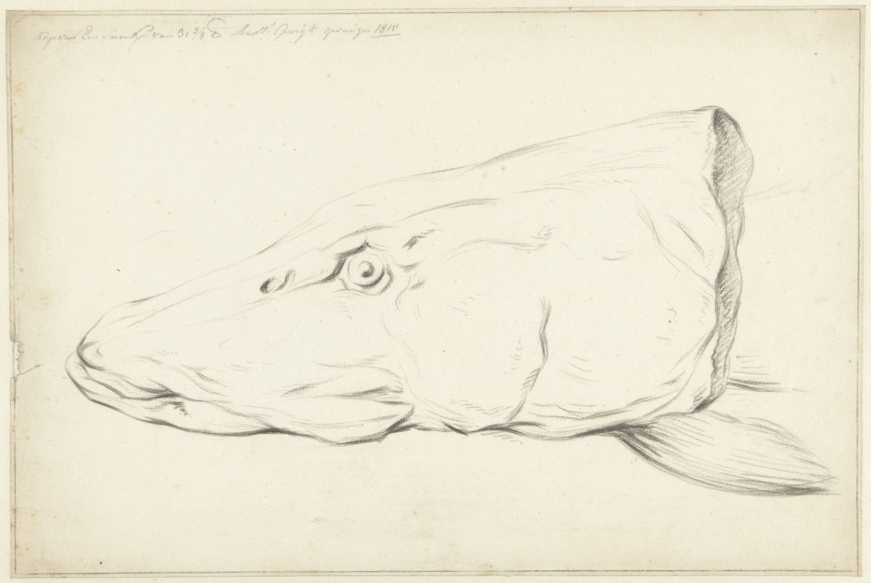 Head of a Pike by Jean Bernard