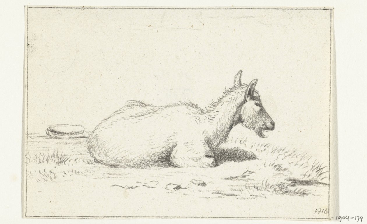Lying Goat, to the Right by Jean Bernard
