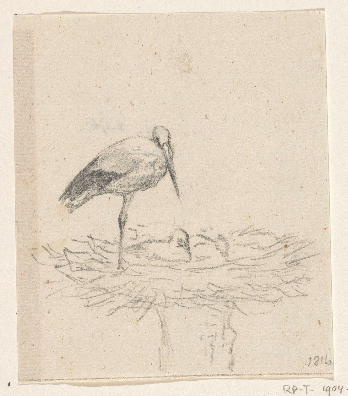 Stork on Nest by Jean Bernard