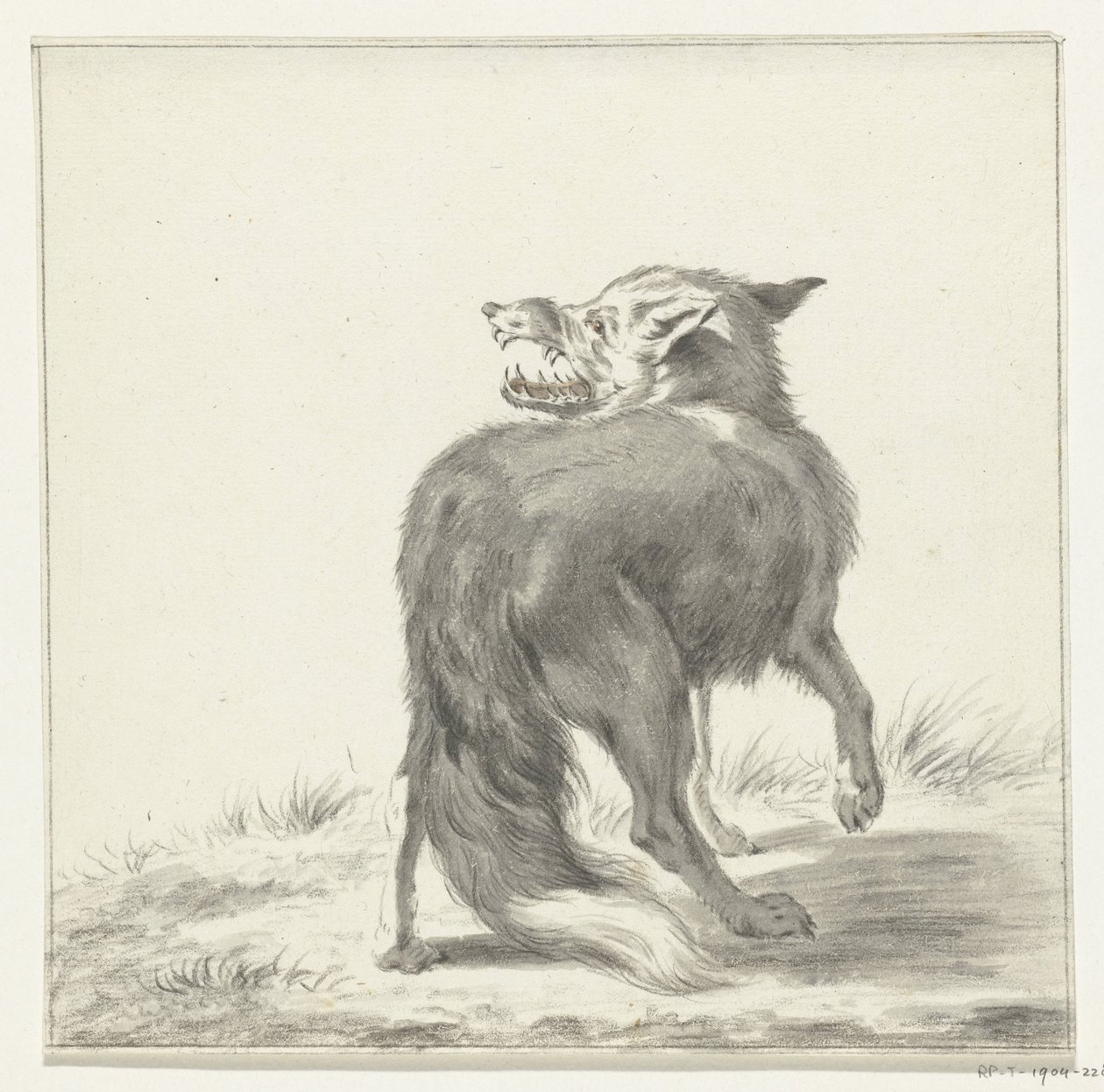 Fox by Jean Bernard