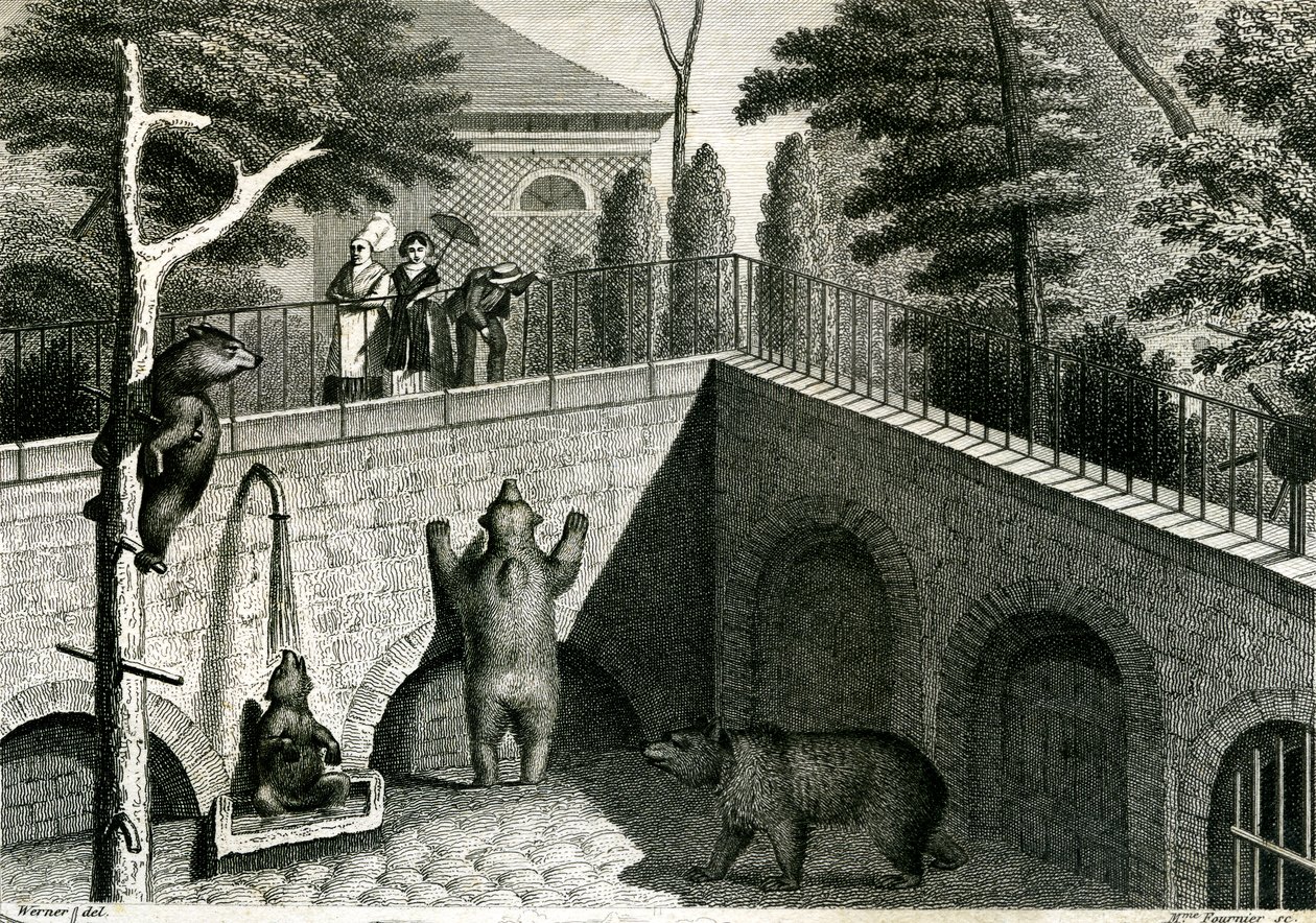 Bear den in a zoo by Jean Charles Werner