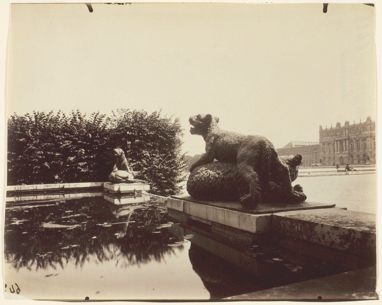 Versailles, Fountain of Point du Jour, (Tiger Overpowering a Bear by Houzeau) by Jean Eugène Auguste Atget