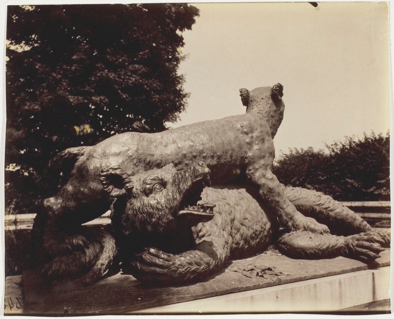 Versailles, Fountain of Point du Jour, (Tiger Overpowering a Bear by Houzeau) by Jean Eugène Auguste Atget