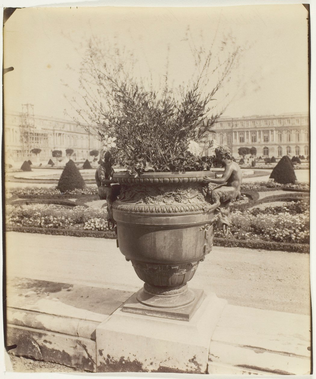 Versailles, Vase by Ballin by Jean Eugène Auguste Atget