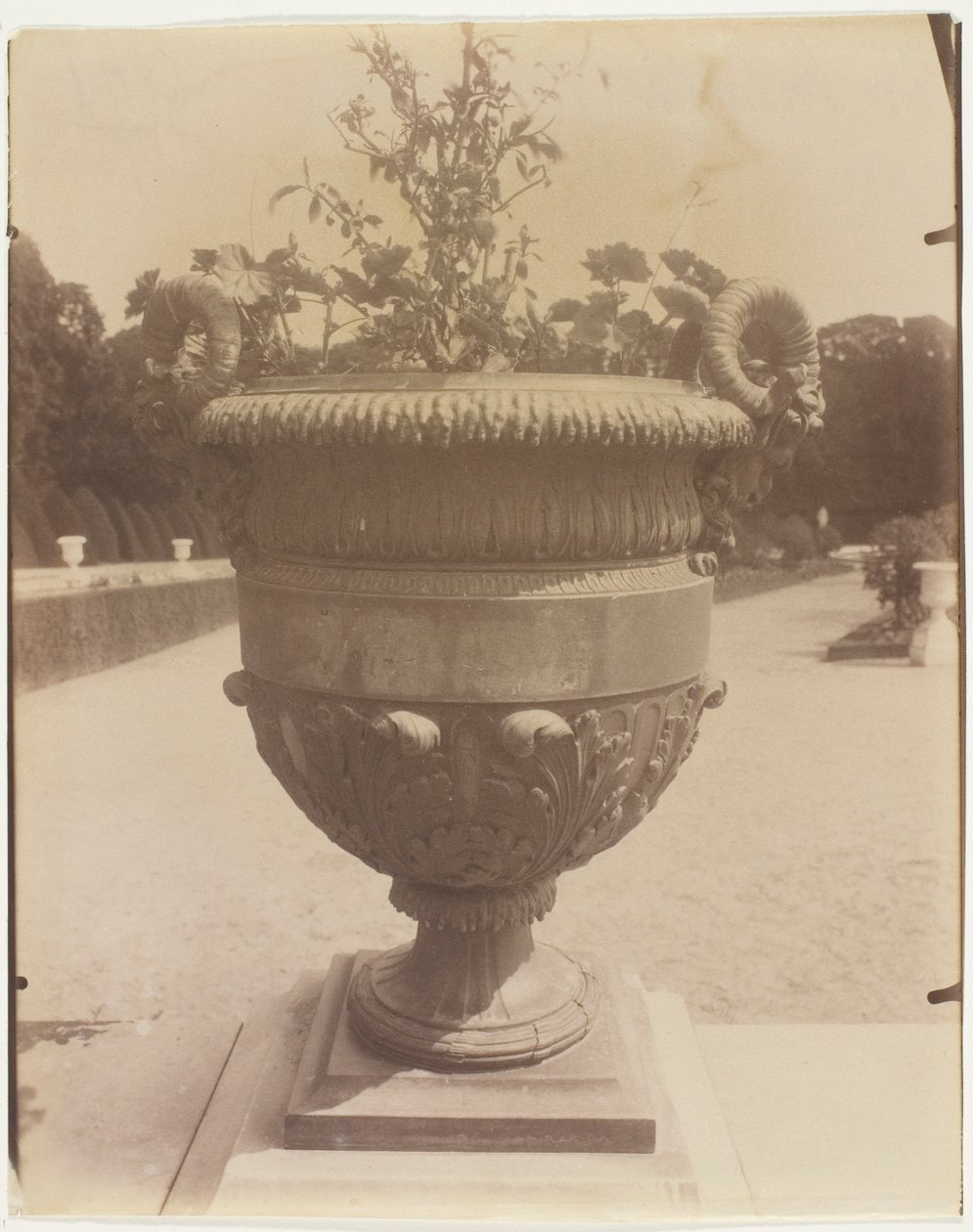 Versailles, Vase by Ballin by Jean Eugène Auguste Atget