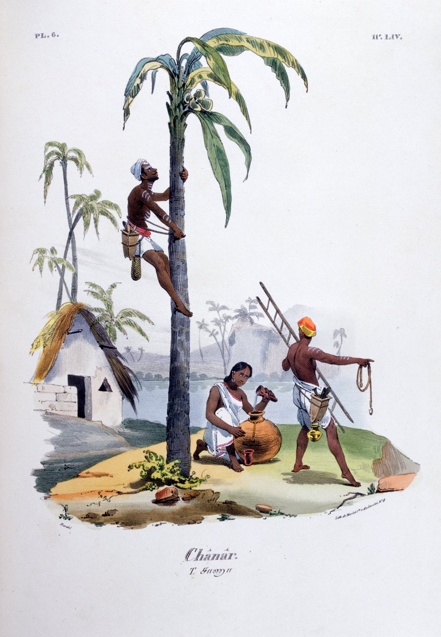 Chanar by Jean Henri Marlet