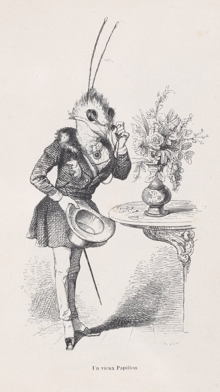 An Old Butterfly from Scenes from the Private and Public Life of Animals by Jean Ignace Isidore Gérard