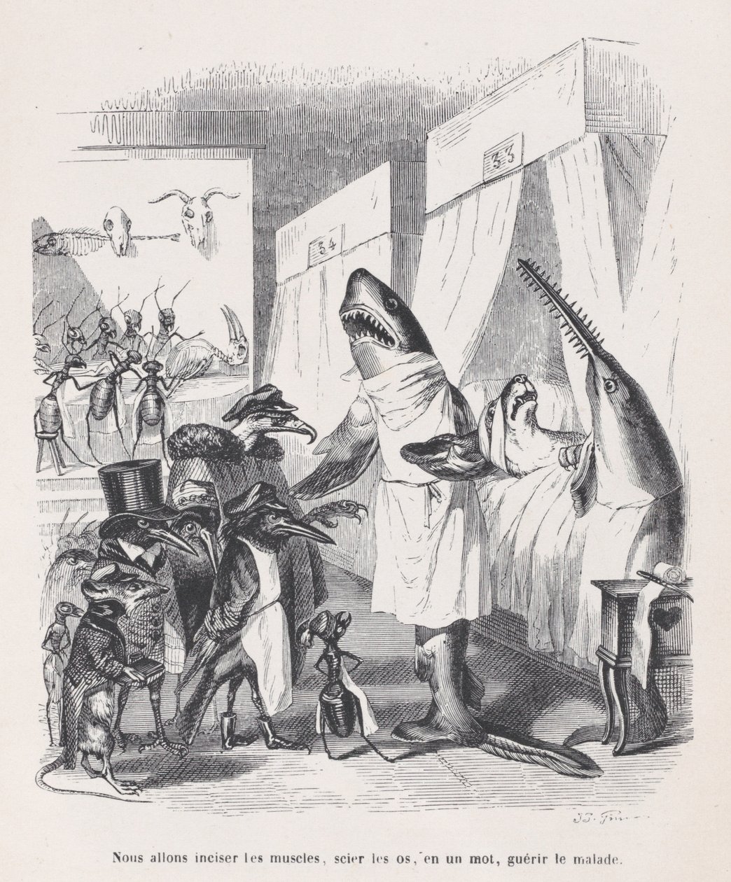 We are going to incise the muscles, saw the bones, in a word, heal the sick from Sc, ca. 1837-47 by Jean Ignace Isidore Gérard