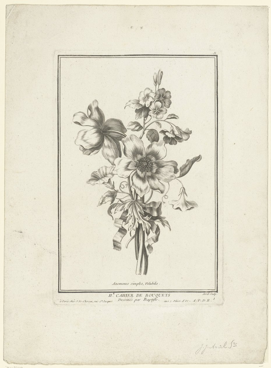 Bouquet of Anemone and Bindweed (title on object) Anemones simples, Volubilis (series title) IIe Cahier de Bouquets by Jean Jacques Avril (I)