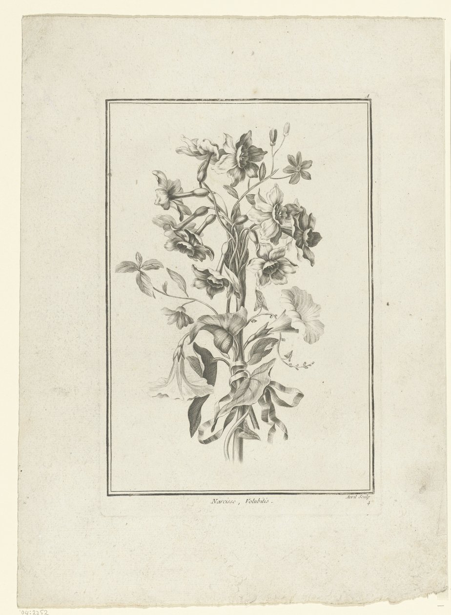 Bouquet of Narcissus and Bindweed, IIe Cahier de Bouquets (series title) by Jean Jacques Avril (I)