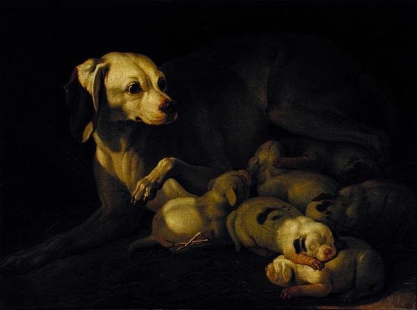 The Bitch Hound Nursing her Puppies, (detail) by Jean Jacques Bachelier