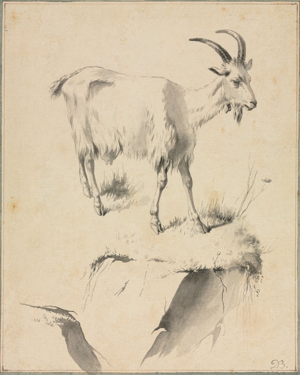 Study of a Goat by Jean-Jacques de Boissieu