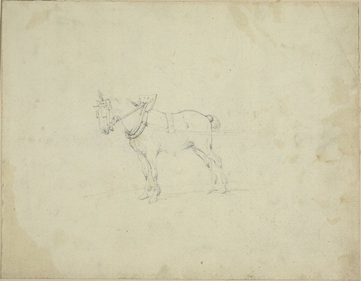 Draught Horse by Jean Louis André Théodore Géricault