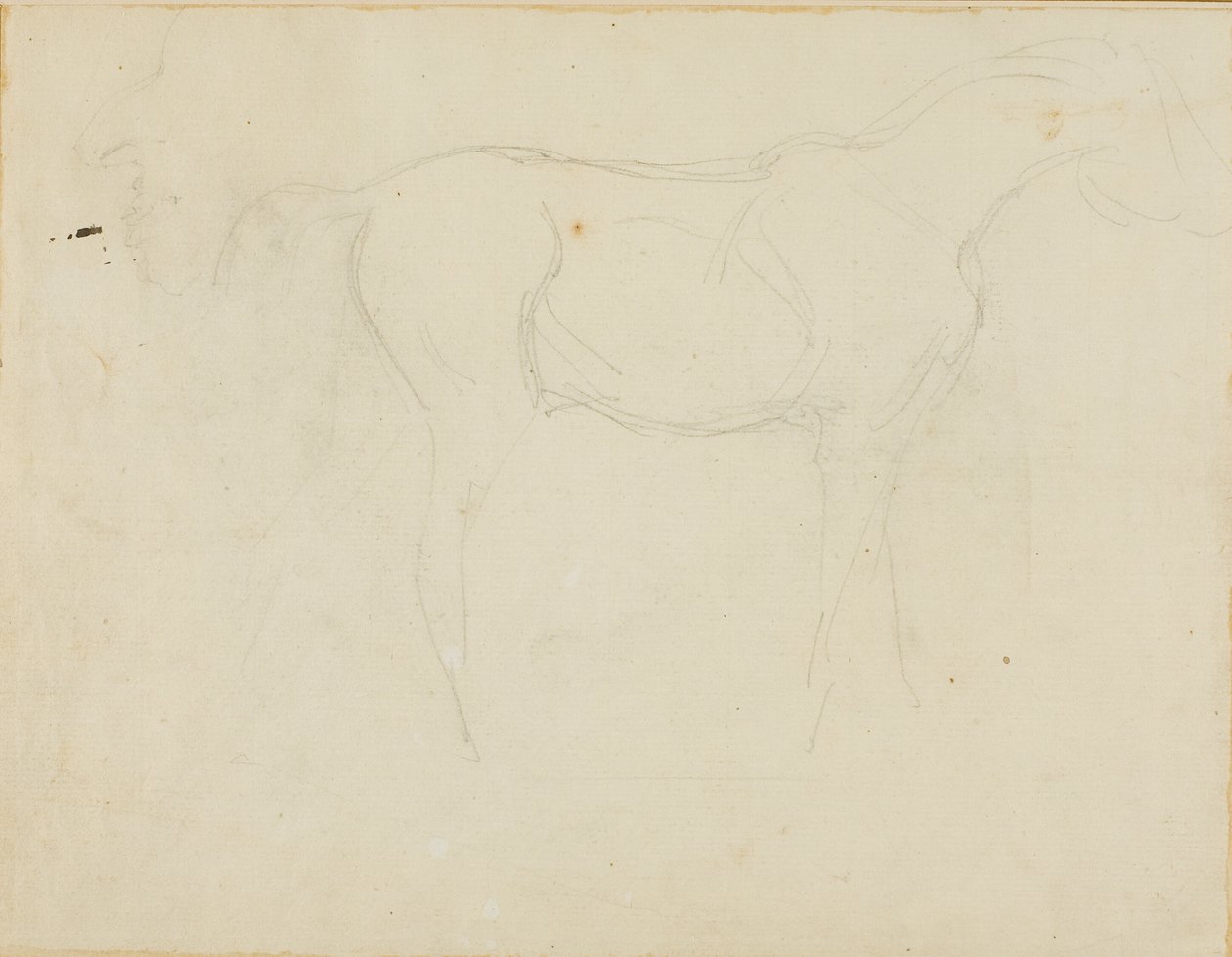 Sketch of a Horse Facing Right and a Caricature in Profile by Jean Louis André Théodore Géricault