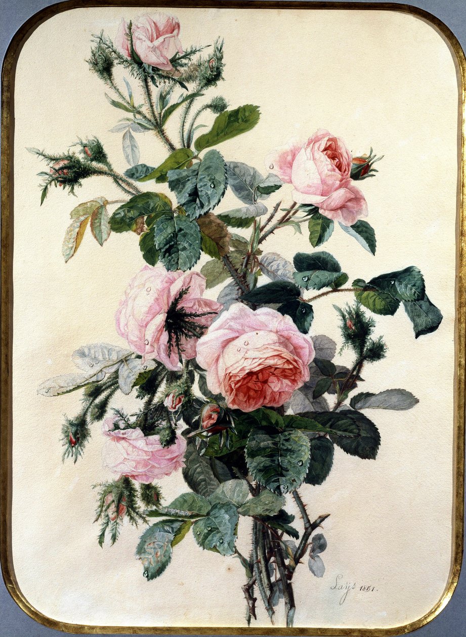 The Roses. Painting by Jean Pierre Lays. Private Collection. by Jean Pierre Lays