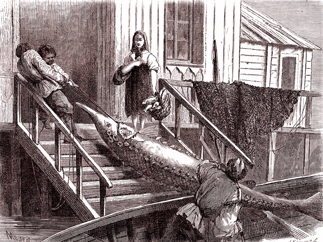 Fishing the Sturgeon on the Volga River, Russia (1867) by Jean Pierre Moynet