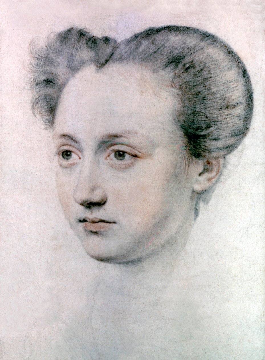 Marie Touchet mistress of French king Charles IX, c.1570 by Jean de Court