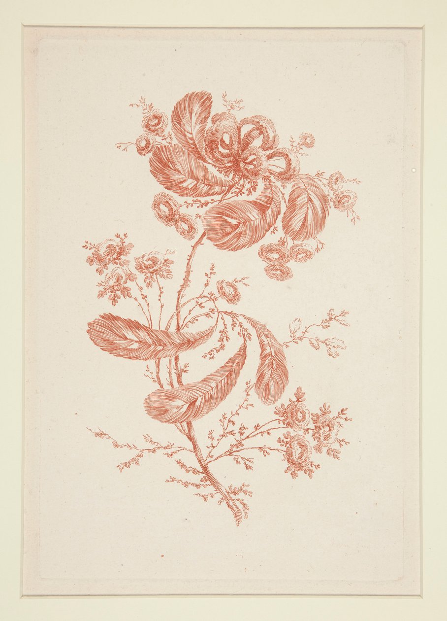 Untitled (Ideal Flowers) by Jeanne Deny