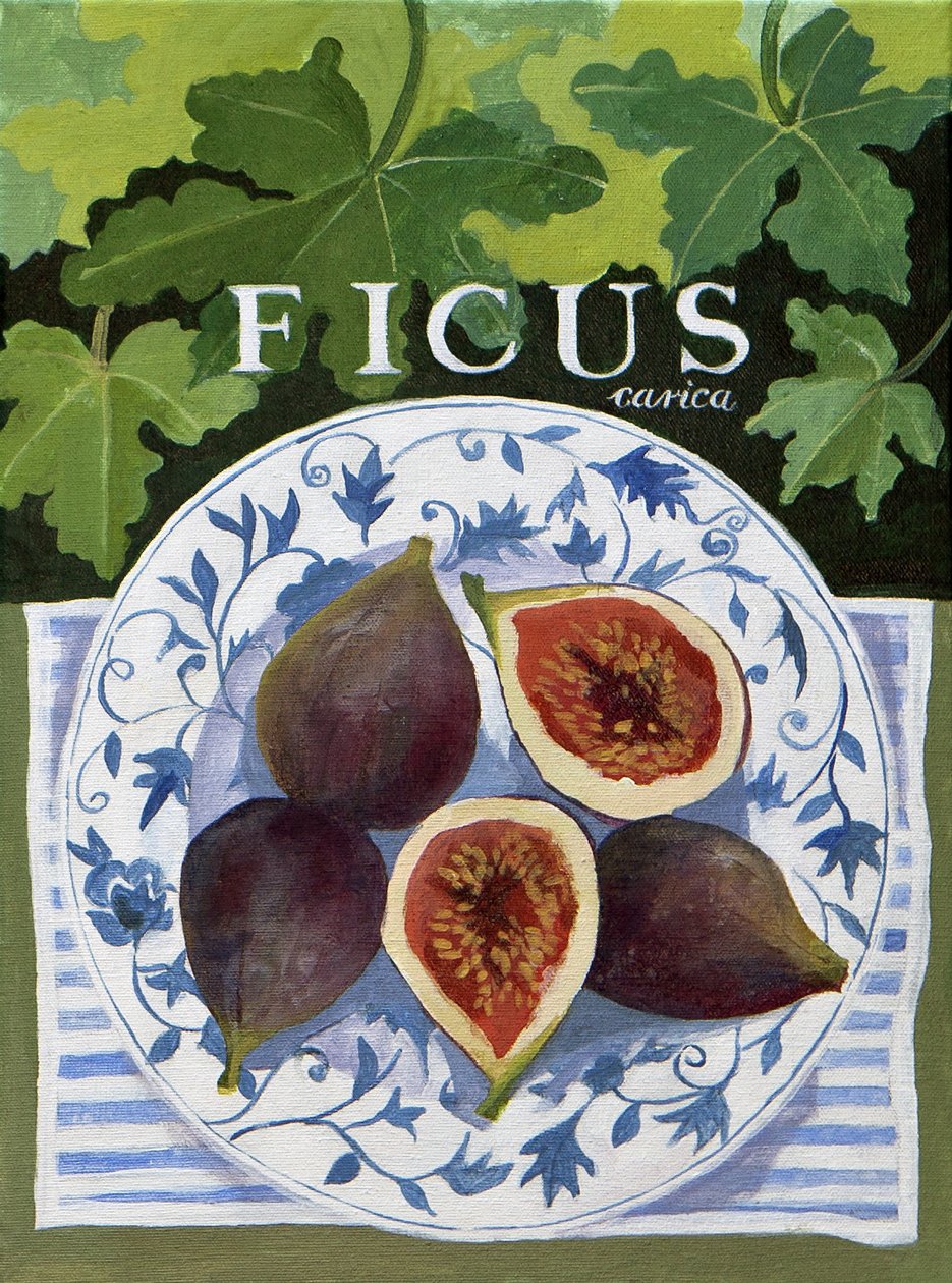 Fieus (figs) by Jennifer Abbott
