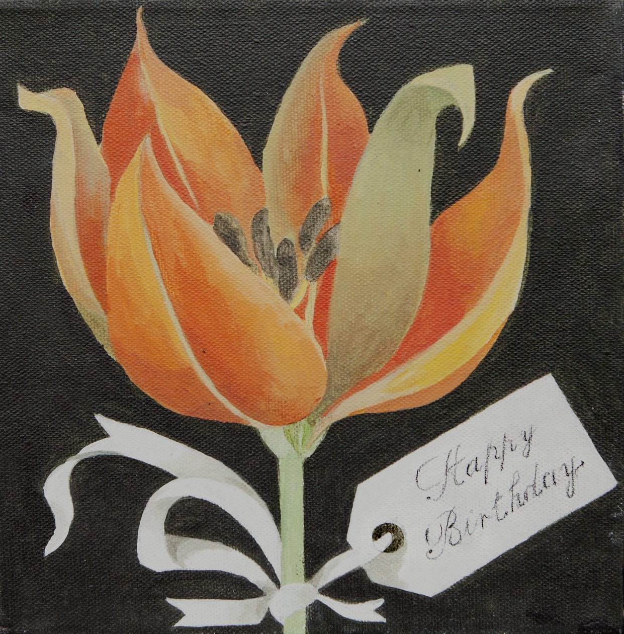 Tulip, Happy Birthday by Jennifer Abbott