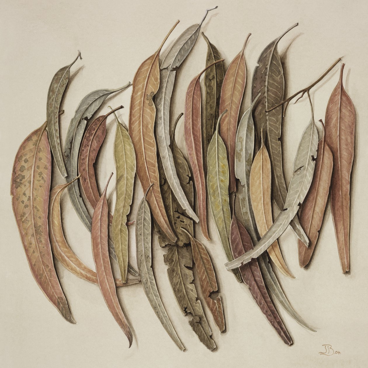 Eucalyptus Leaves, 2004 by Jenny Barron