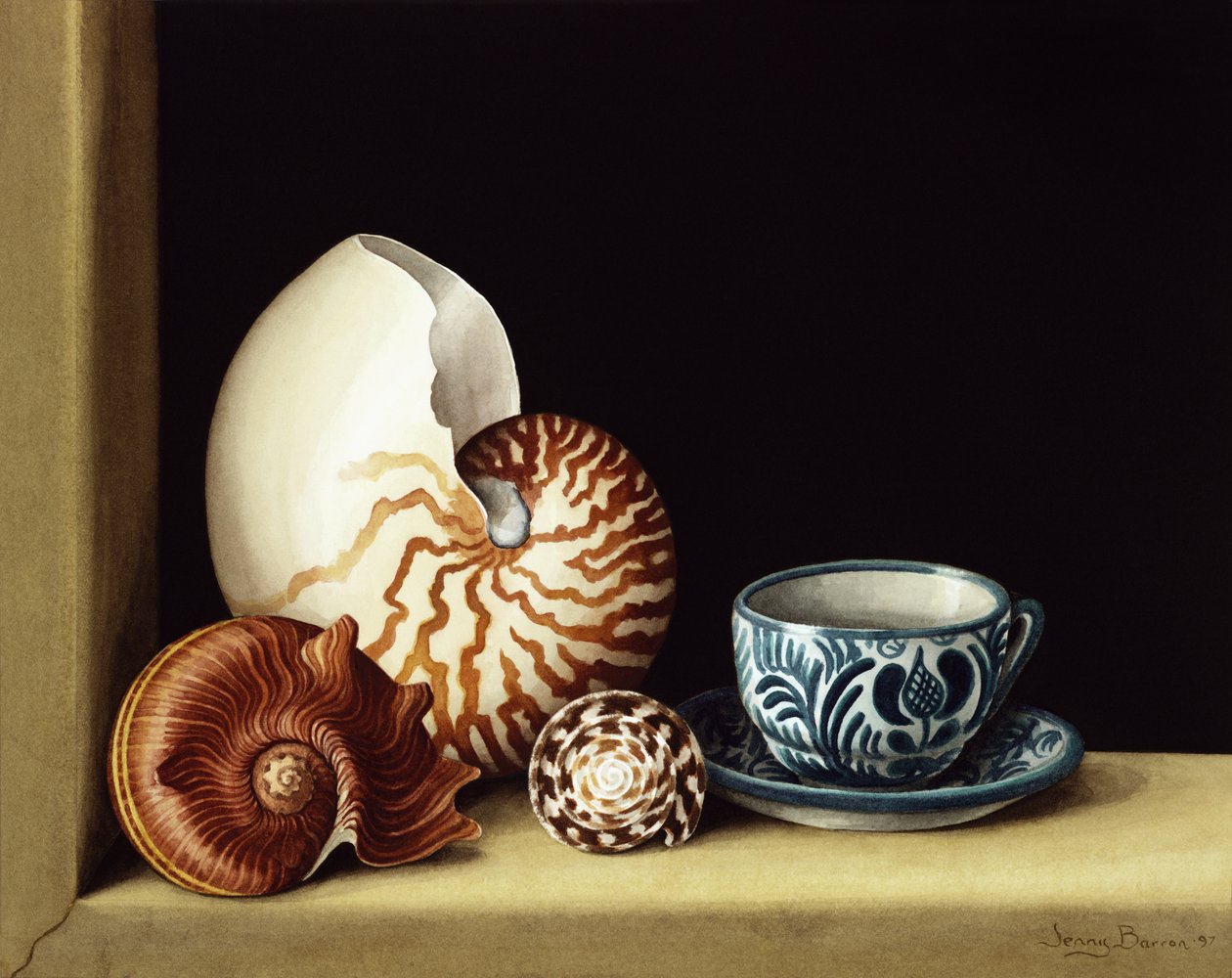 Still life with Nautilus by Jenny Barron