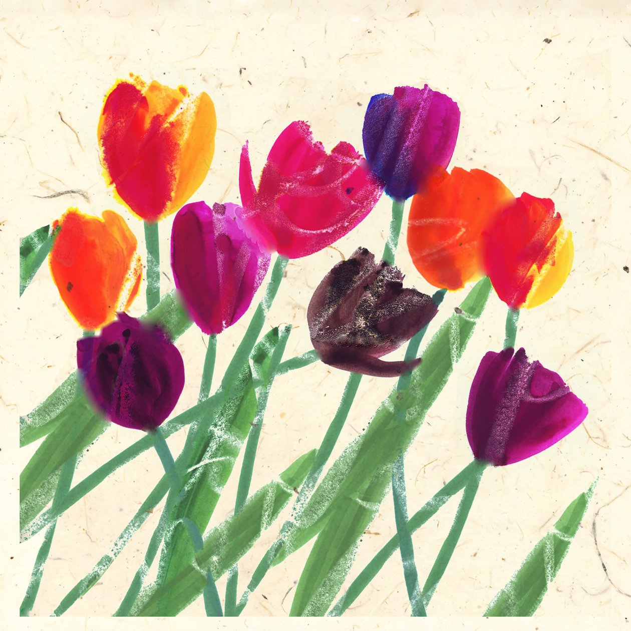 Holland Beauties by Jenny Frean