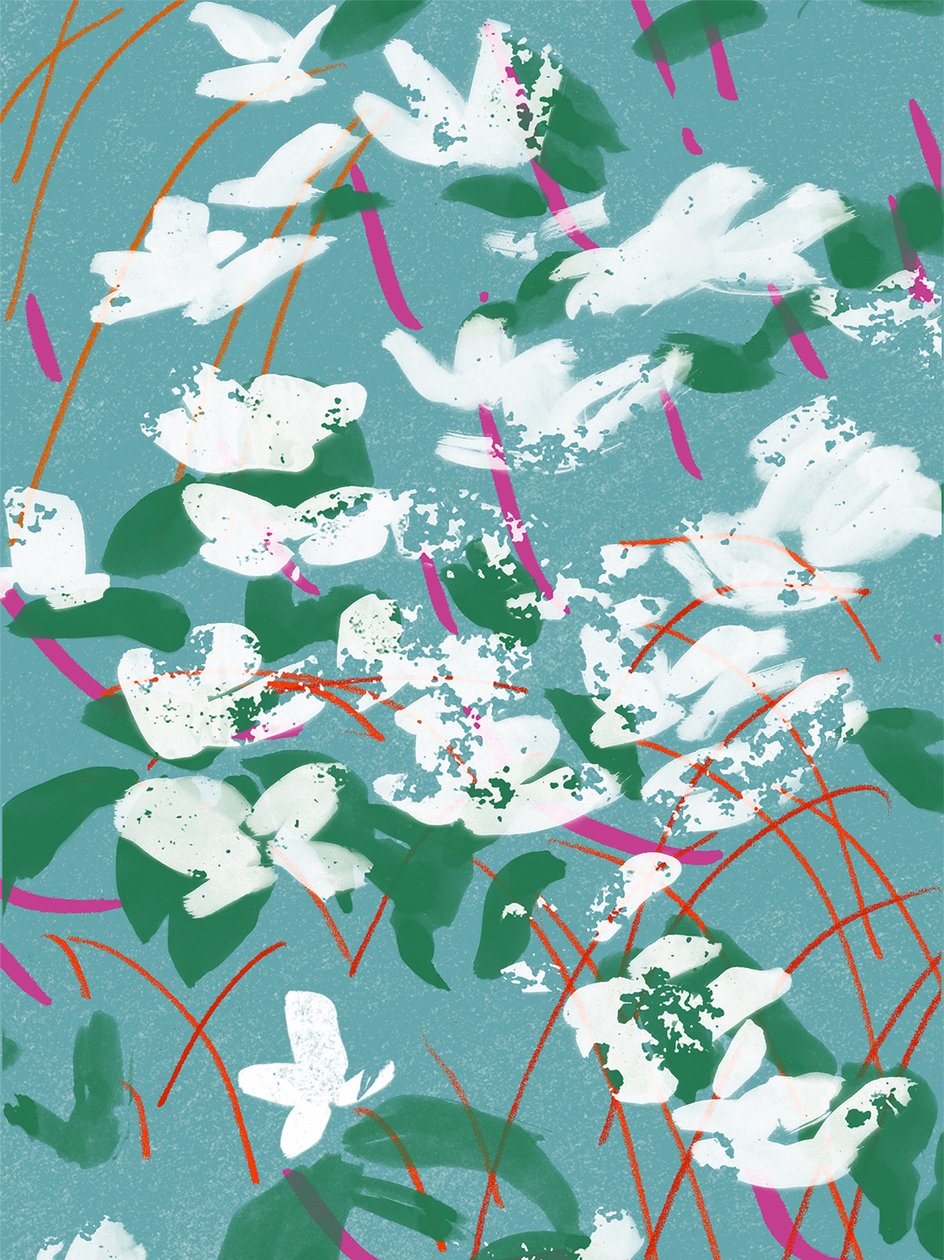 Teal Tales by Jenny Frean