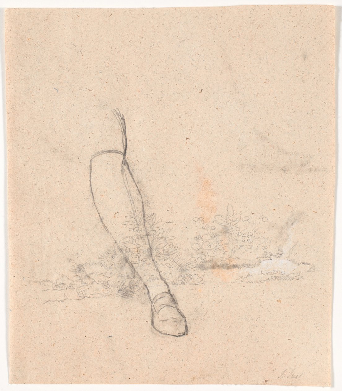 Studies of Plants by a Stream and Right Leg for the Portrait of Envoy Jean-Armand Tronchin Sitting Outdoors by Jens Juel