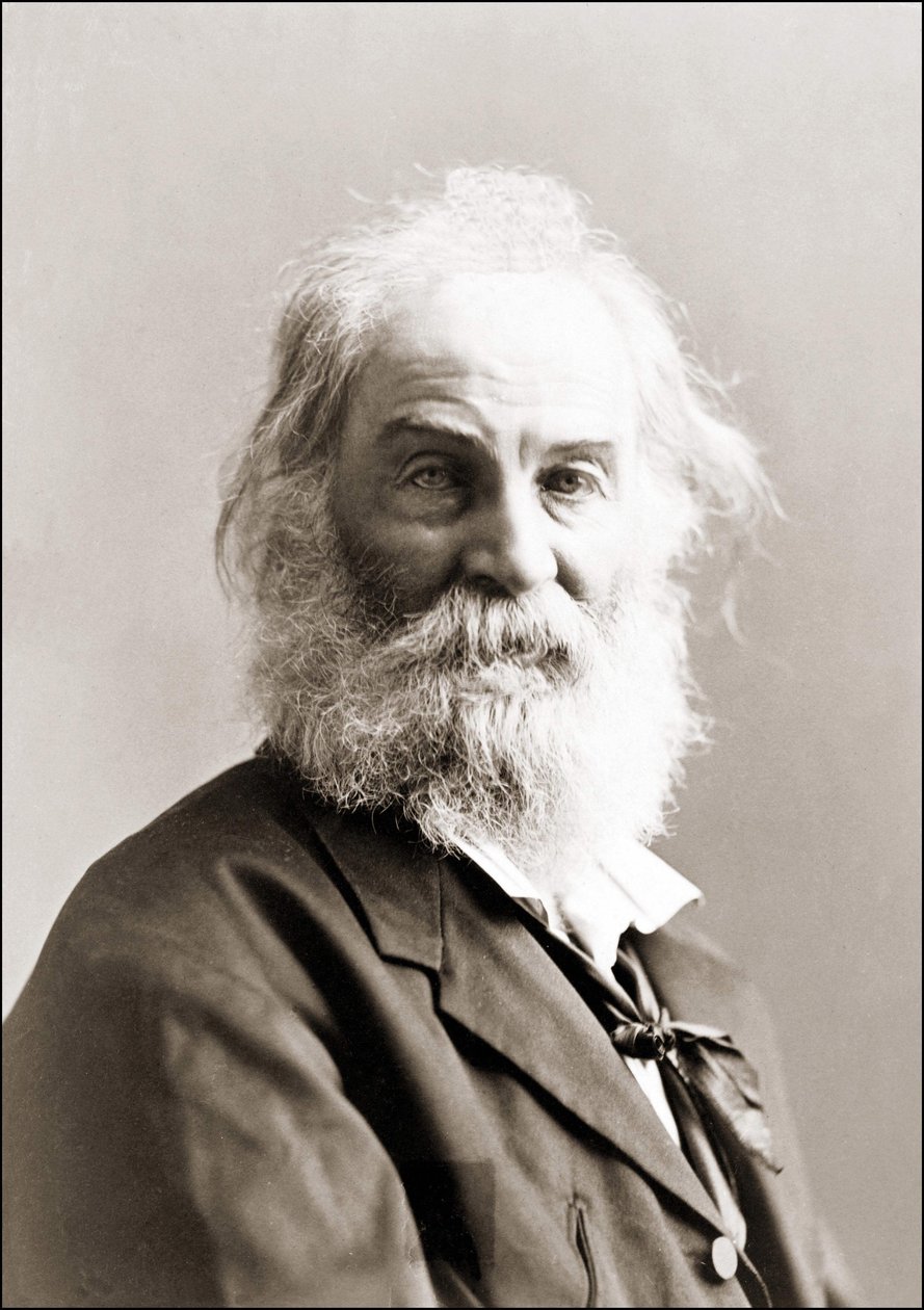 Portrait of Walt Whitman by Gurney Between 1880 and 1890 by Jeremiah Gurney