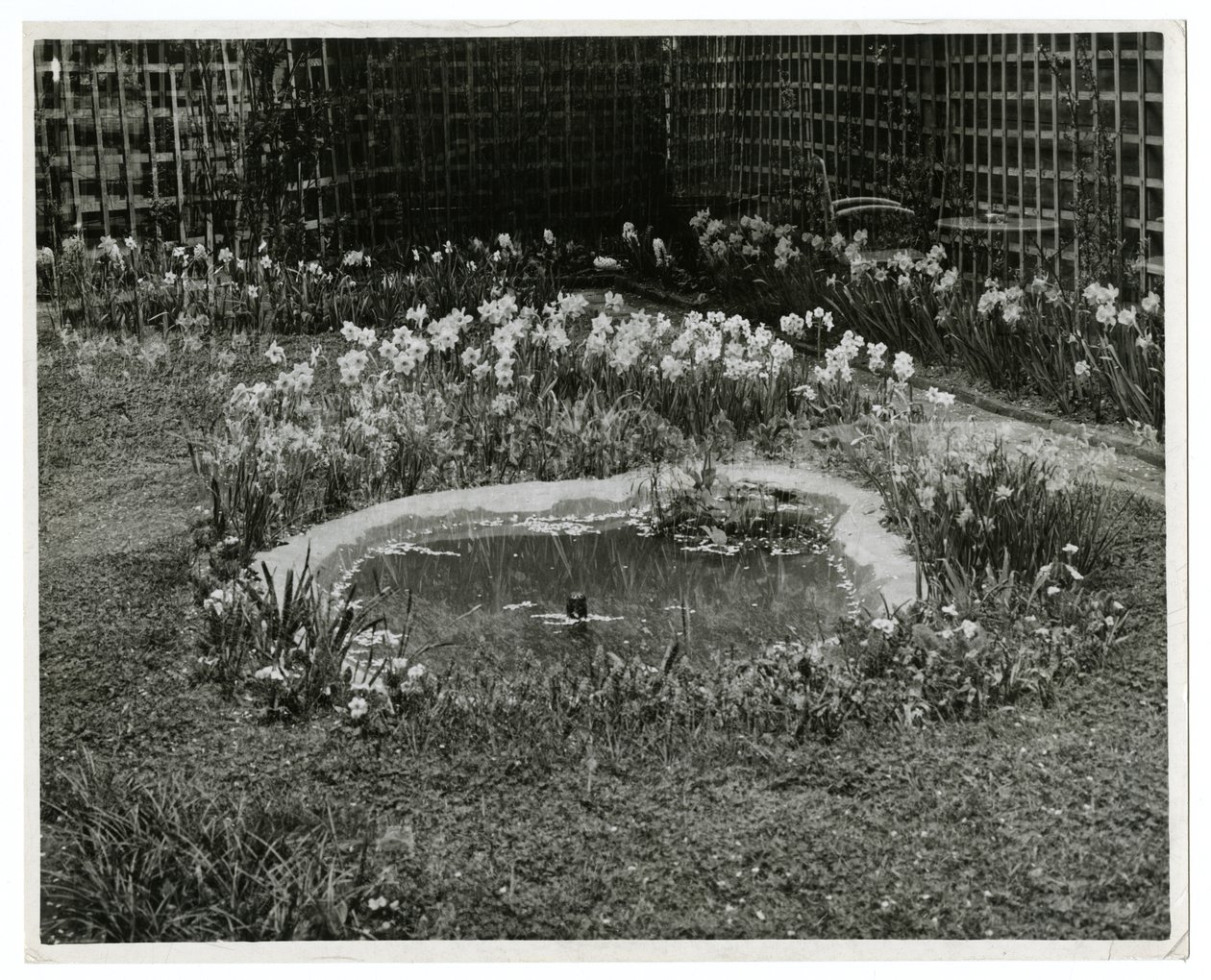 Garden of Mr & Mrs Wm H Wells 265 W 11th St, New York, USA by Jessie Tarbox Beals