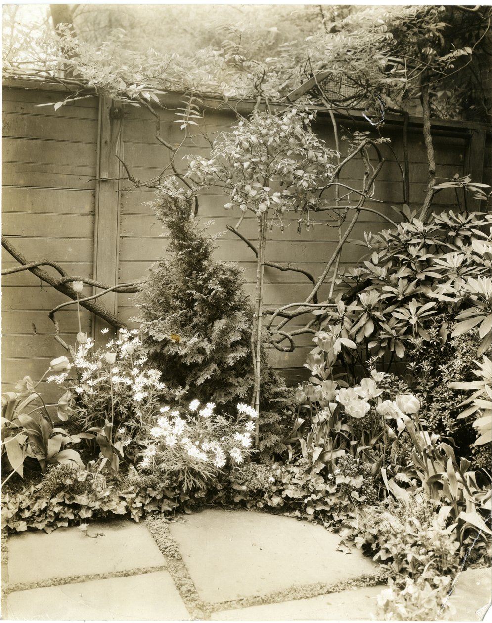 Mr & Mrs John Morgan, 39 W 11 St, Greenwich Village, New York, USA, c.1939-40 by Jessie Tarbox Beals
