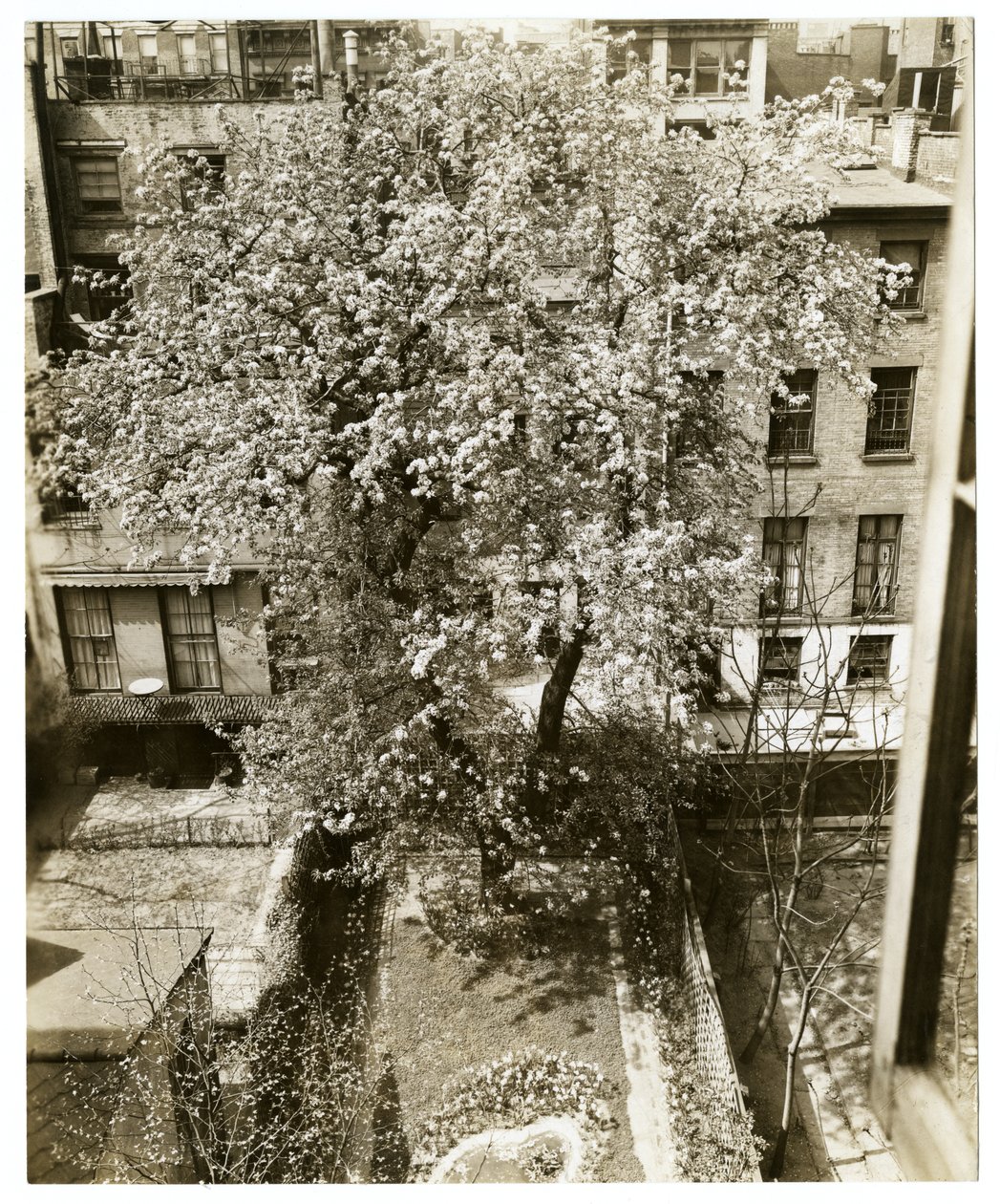 Mrs. W. H. Wells, 265 W 11th by Jessie Tarbox Beals