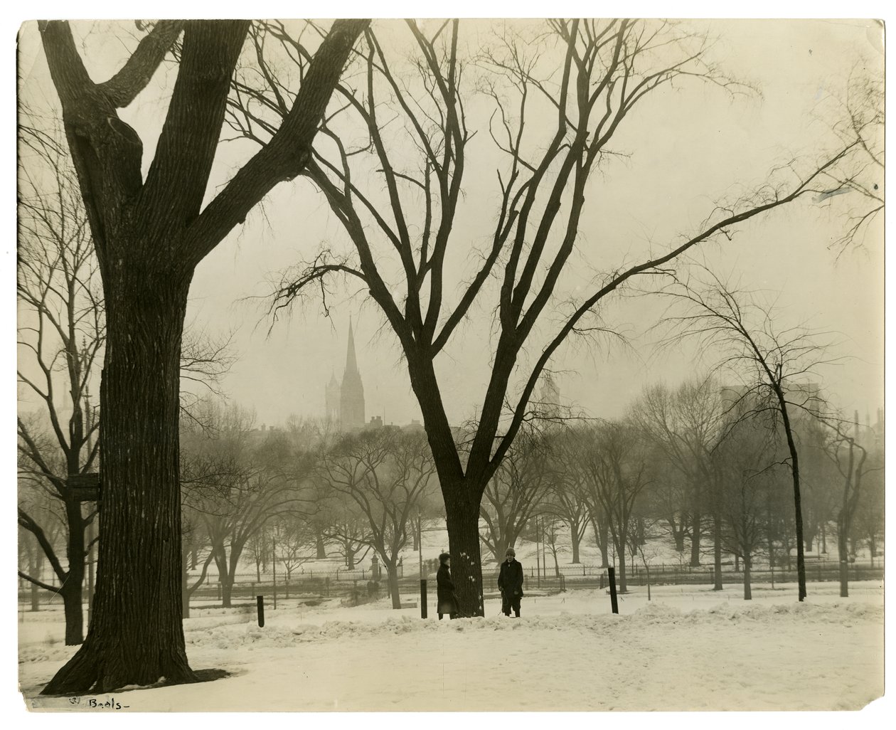 The Common, Boston, USA, c.1902-10 by Jessie Tarbox Beals