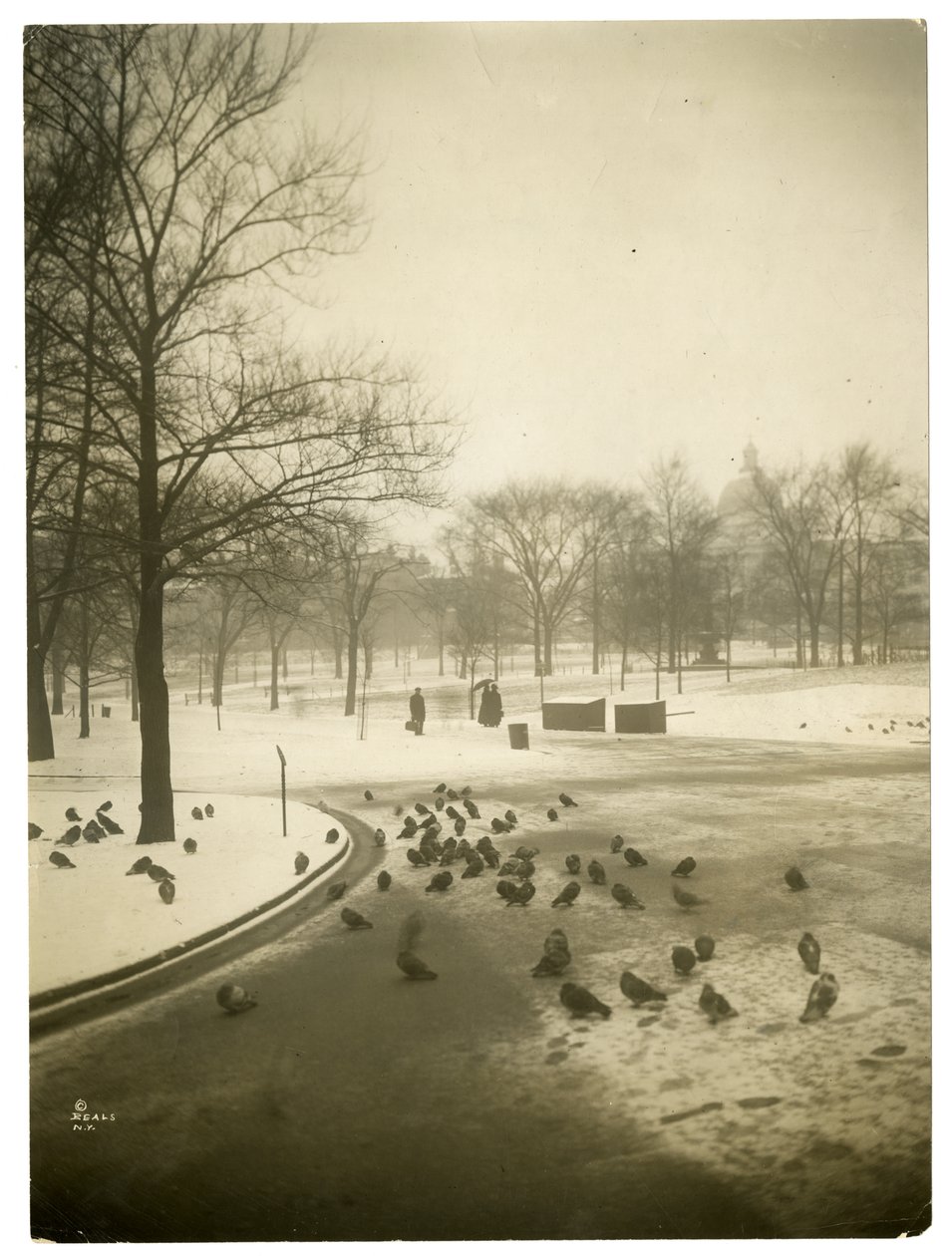 Uncommonly cold in the Common, Boston, USA by Jessie Tarbox Beals