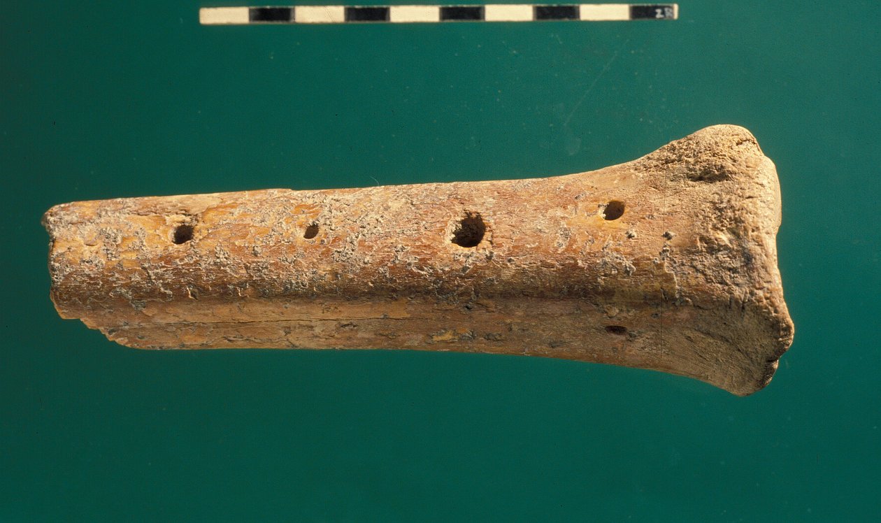 Flute, City of David by Jewish School