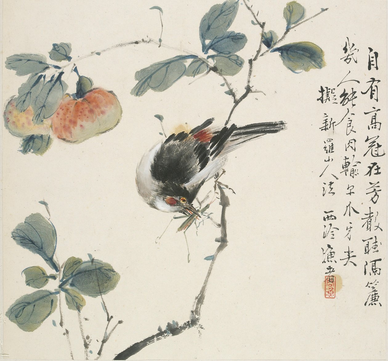 A Chinese Hwamei eating a grasshopper by Jin Yuan