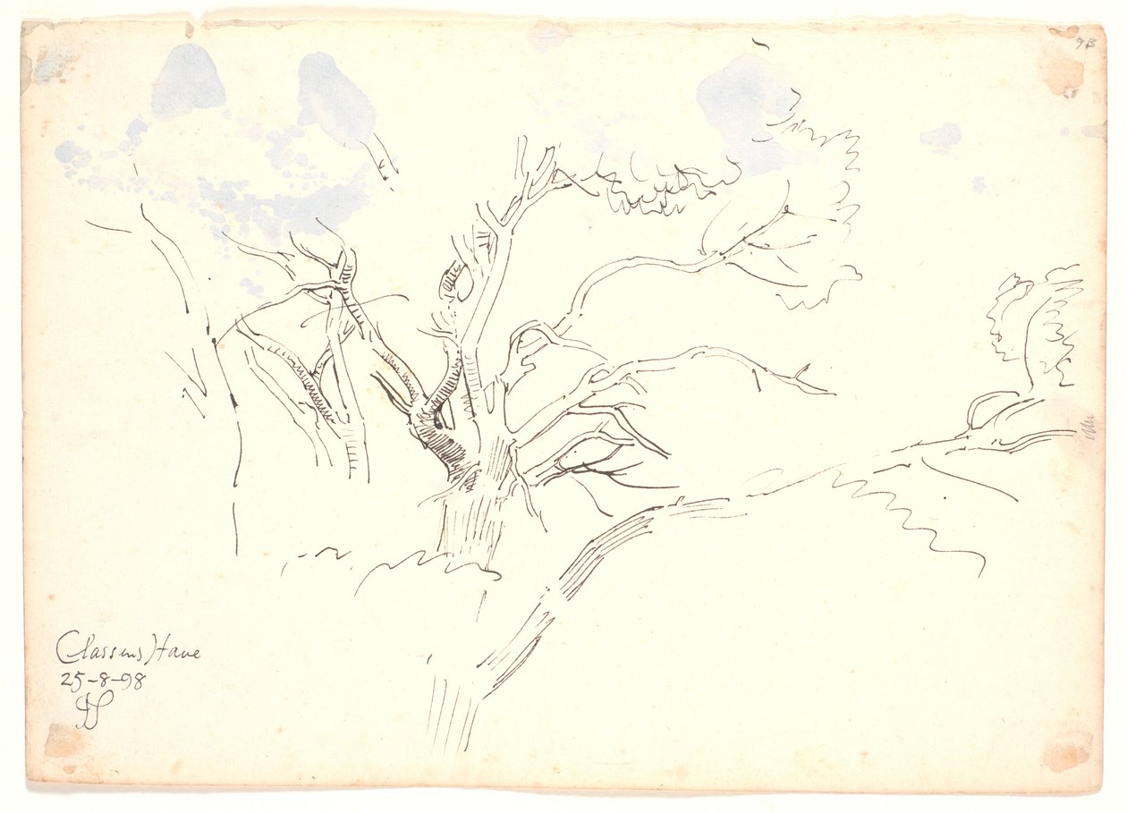 Branch Studies. Classens Garden by Joakim Frederik Skovgaard
