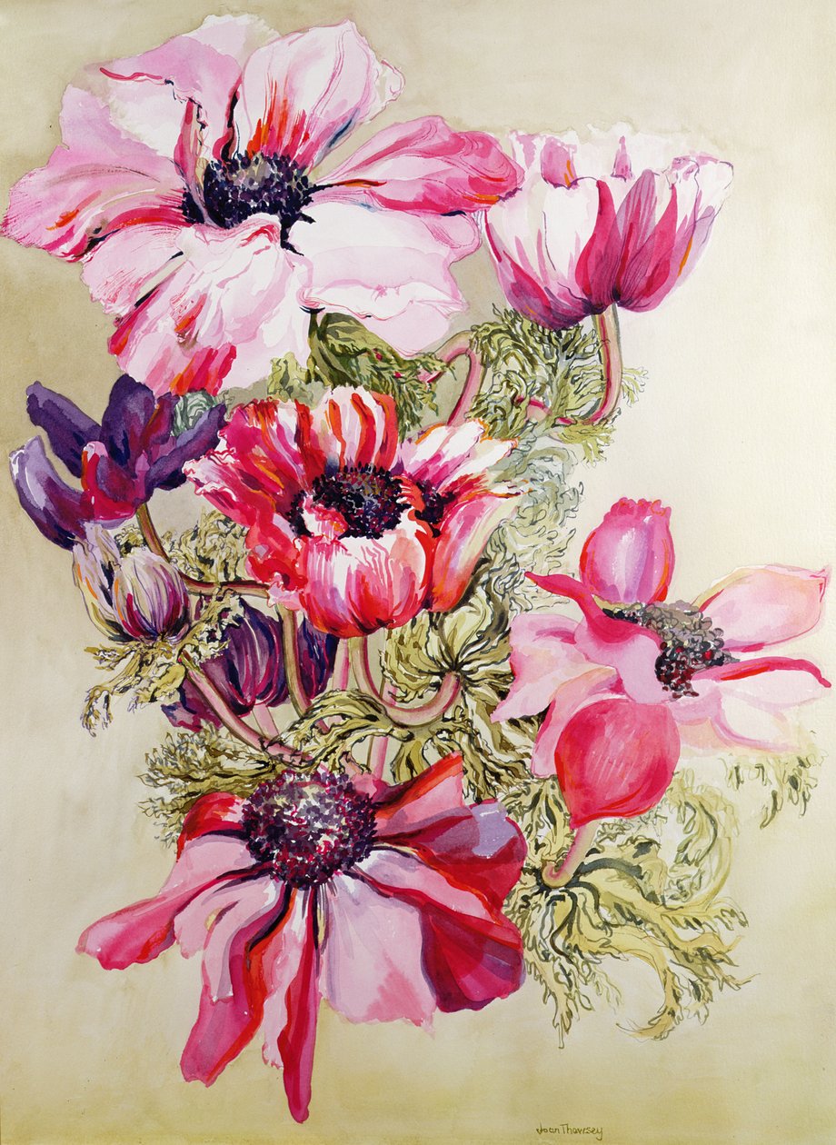 Anemones by Joan Thewsey
