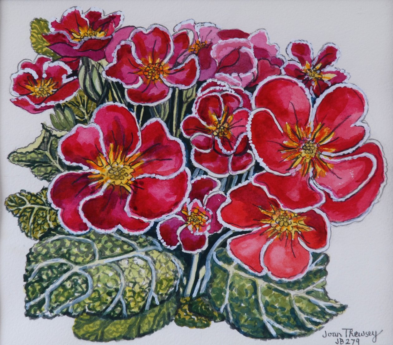 White Edged Primroses by Joan Thewsey