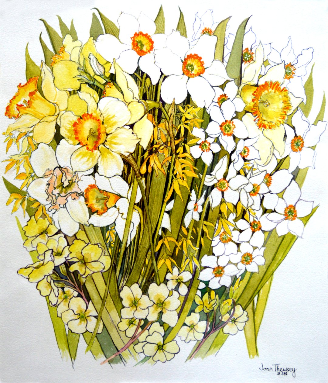 Daffodils, Narcissus, Forsythia and Primroses by Joan Thewsey